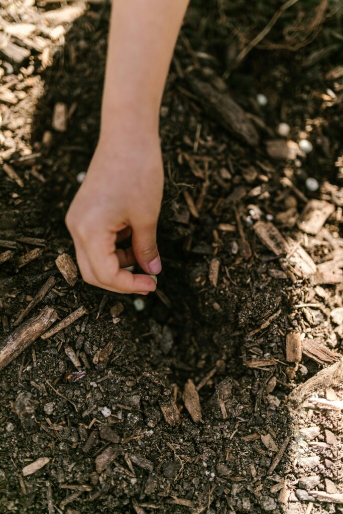 Close-up of a hand planting a seed in soil, perfect for gardening and nature concepts.